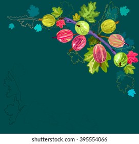 ripe gooseberries