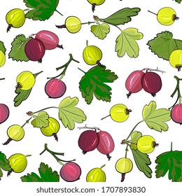 Ripe gooseberries seamless pattern. Summer berry background with berries. vector illustration, hand-drawing.