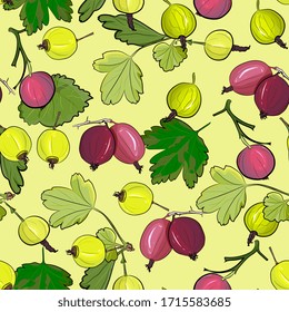 Ripe gooseberries seamless pattern. Summer berry background with berries. vector illustration, hand-drawing.