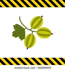 Ripe gooseberry icon
