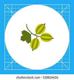 Ripe gooseberry icon