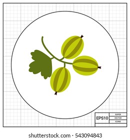 Ripe gooseberry icon