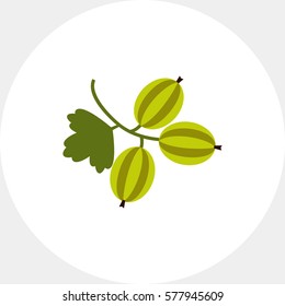 Ripe gooseberry icon