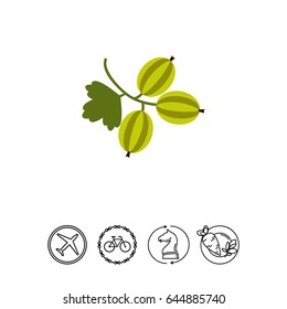 Ripe gooseberry icon