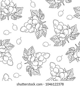 Ripe grape berries, seamless vector pattern isolated on white background. Good for textile, wrapping paper. 
