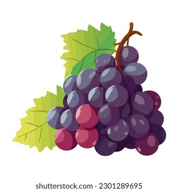 Ripe grape bunch illustration icon isolated