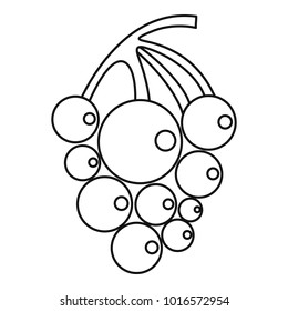 Ripe grape icon. Outline illustration of ripe grape vector icon for web