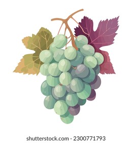 Ripe grape on branch backdrop icon isolated