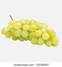 Ripe grape on white background. Vector illustration.