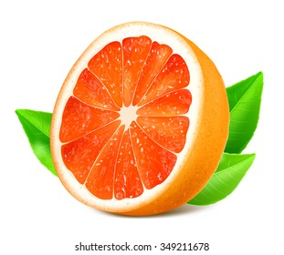 Reife Grapefruits mit Blättern. Vektorgrafik.