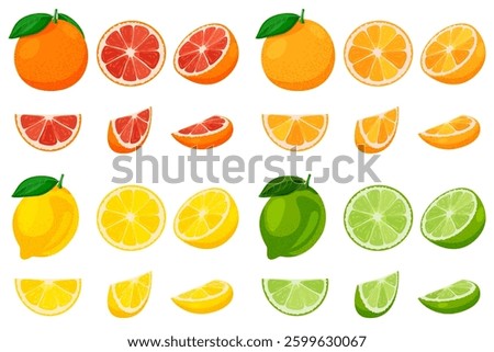 Ripe grapefruit, orange, lemon and lime whole and sliced set isolated on white background. Vector flat cartoon illustration. Citrus tropical fruit design elements collection