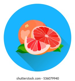 Ripe grapefruits with leaves. Flat style with long shadow.