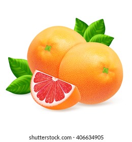 Ripe grapefruits and slices with leaf isolated on white background. Realistic vector illustration.