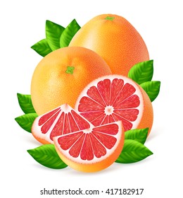 Ripe grapefruits and slices with leaf isolated on white background. Realistic vector illustration.