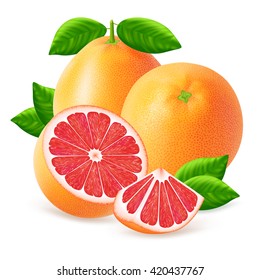 Ripe grapefruits and slices with leaf isolated on white background. Realistic vector illustration.