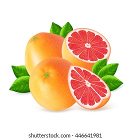 Ripe grapefruits and slices with leaf isolated on white background. Realistic vector illustration.