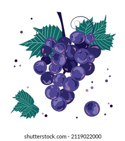 Ripe grapes. A bunch of healthy grapes isolated on a white background