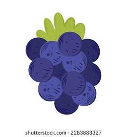 Ripe grapes fruits icon isolated