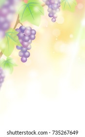 ripe grapes on trees