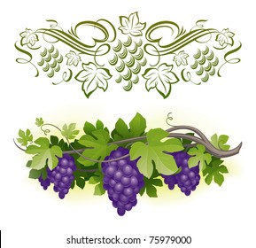 Ripe grapes on the vine & decorative calligraphic vine