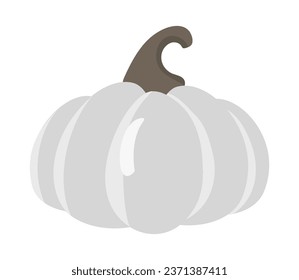 Ripe gray pumpkin isolated on white background. Fall harvest gourds. Healthy organic food concept. Vector vegetables illustration in flat style. Thanksgiving Day