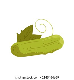 Dibujar pepino verde con hoja de la ilustración vectorial del campo agrícola. Jardín de dibujos animados verduras orgánicas frescas para cocinar y comer, ingrediente de tentempiés vitamínico de ensalada aislado en blanco. Concepto de agricultura