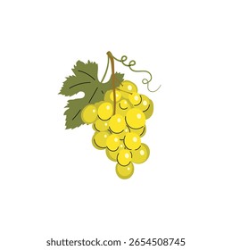 Ripe green grape with leaves. doodle flat modern style drawing. Autumn harvest and wine shop design. Healthy fruit. Vector illustration.