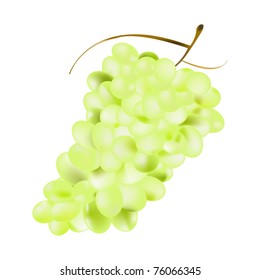 Ripe green grapes
