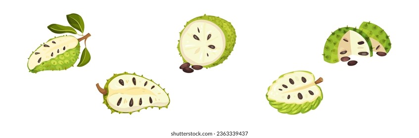 Ripe Green Guanabana Fruit with Thick Rind and Juicy Flesh Vector Set