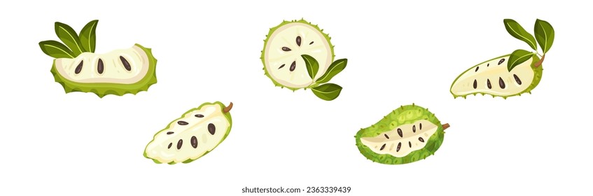 Ripe Green Guanabana Fruit with Thick Rind and Juicy Flesh Vector Set