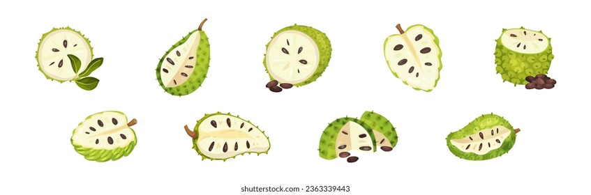 Ripe Green Guanabana Fruit with Thick Rind and Juicy Flesh Vector Set