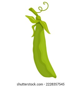 Ripe green pea pod. Vector graphics.