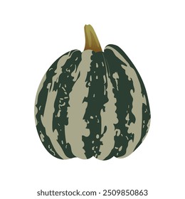 Ripe green pumpkin. Striped cut pumpkin with one slice. Healthy organic vegetable. Fall harvest gourds. Thanksgiving autumn pumpkin. Flat vector cartoon illustration isolated on white background.