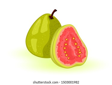 Ripe guava whole and half. Round, oval tropical exotic fruit with green skin and red sweet or sour pulp inside. Ingredient for beverages, sauces, ales, candies, dried snacks, desserts. Vector cartoon