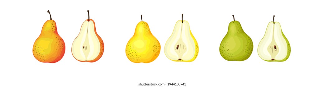 Ripe and half pear set. Yellow ang green pears. Color illustration.