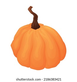 Ripe harvest autumn pumpkin, vegetable vector isolated cartoon illustration.