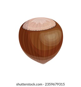 Ripe hazelnut in realistic style. Vector illustration isolated on a white background.