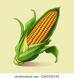 Ripe head corn in a green husk. Colored vector illustration.