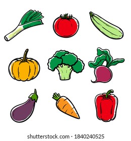 ripe and healthy vegetables and roots. set of flat vector illustrations isolated on white background