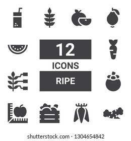 ripe icon set. Collection of 12 filled ripe icons included Carrot, Tuber, Fruit box, Apple, Mangosteen, Wheat, Guava, Watermelon, Juice