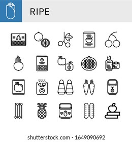 ripe icon set. Collection of Corn, Cherry, Orange, Blackcurrant, Beet, Watermelon, Apple, Pomegranate, Sticky rice, Potatoes, Carrot, Pineapple, Onion, Cucumber icons