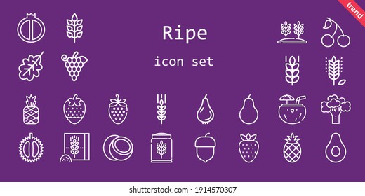 ripe icon set. line icon style. ripe related icons such as banana, cherry, hazelnut, broccoli, strawberry, chestnut, oak leaf, coconut, pear, pineapple, wheat flour, wheat, watermelon, grapes