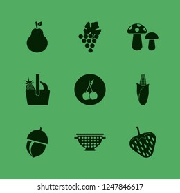 ripe icon. ripe vector icons set grape, cherry, acorn and colander