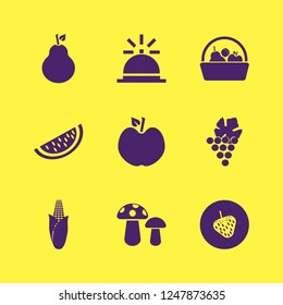 ripe icon. ripe vector icons set bell, grape, strawberry and corn