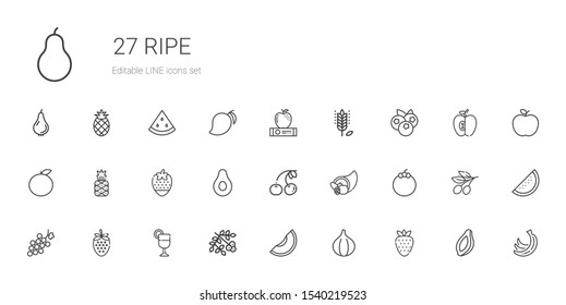 ripe icons set. Collection of ripe with strawberry, fig, melon, viburnum, juice, grape, mangosteen, cornucopia, cherry, banana, pineapple, orange. Editable and scalable ripe icons.
