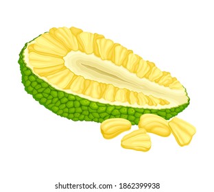 Ripe Jackfruit with Green Pimpled Shell and Fibrous Core Vector Illustration