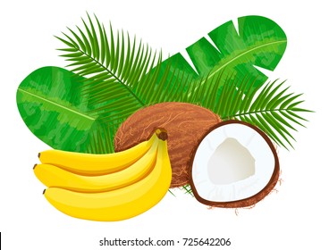 Ripe and juice Bananas and coconuts with palm leaves. Vector illustration jungle motif. Can be used as background texture, wrapping paper, textile, wallpaper design, perfumery, aromatherapy, cosmetics