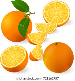 Ripe juice orange vector design element set.