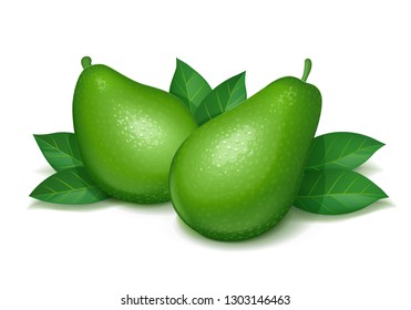 Ripe, juicy avocado with green leaf. Realistic tropical fruit. Natural fruits. Product for fresh eat. Organic food. Isolated white background. Eps10 vector illustration.