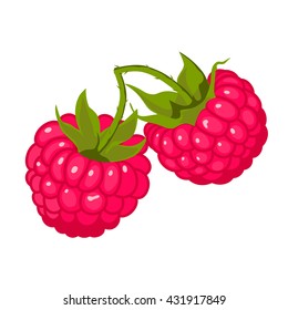 ripe juicy berries of raspberry. Vector image.